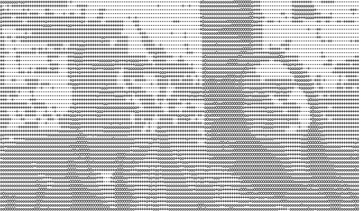 Esempio di conversione ASCII foto 2