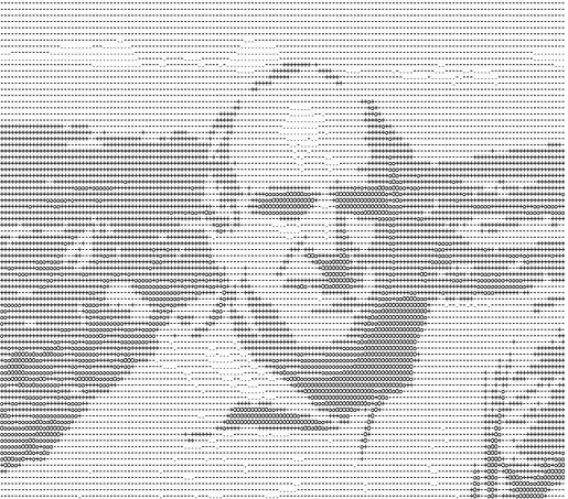 Risultato ASCII della stessa immagine