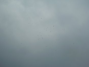 Clicca per zoom a 2024x1536 (654.388 Byte)