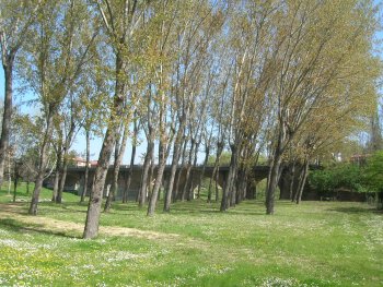 Clicca per zoom a 2024x1536 (687.915 Byte)