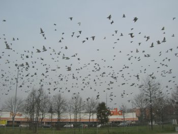 Clicca per zoom a 2592x1944 (742.861 Byte)