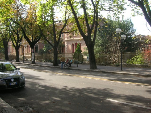 Scuole Alberghetti l' 1 Novembre 20088