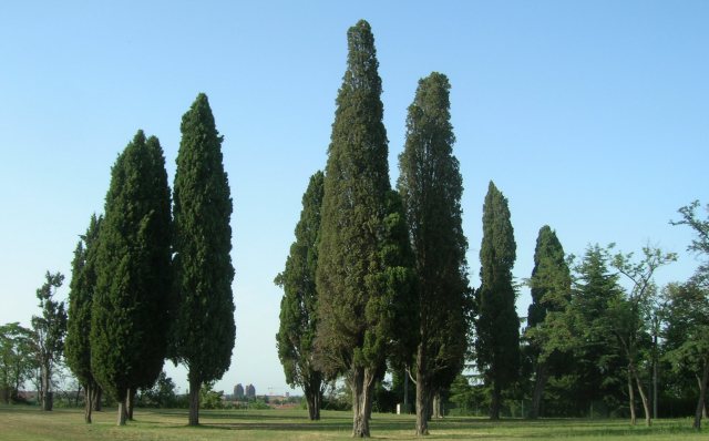 Foto del Cimitero della Chiesa di Croce in Campo il 21 Giugno 2009