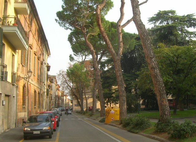 Giardino San Domenico il 25 Ottobre 2008