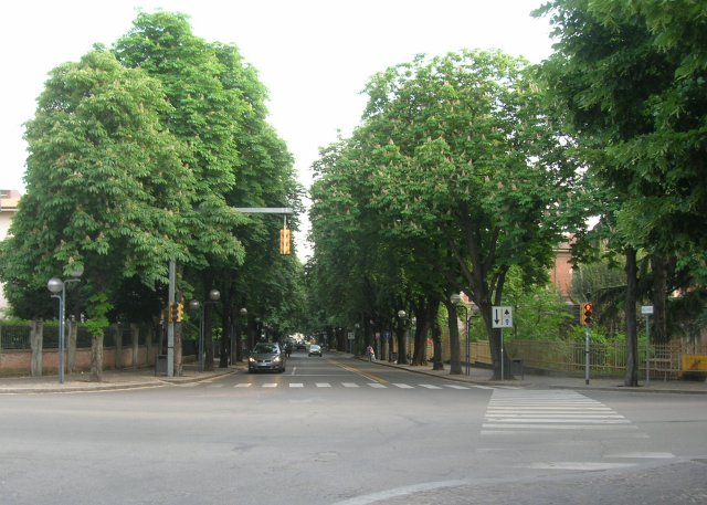 Ingresso Viale Dante il 12 Maggio 2009