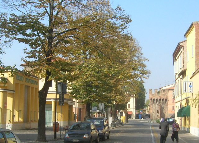 Mercato ortofrutticolo il 12 Ottobre 2008