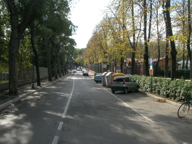Via Romeo Galli Zona Stadio l'1 Novembre 2008